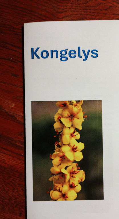 Kongelys   . et spændende bekendskab