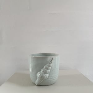 Konkylie mint #2 – produktbillede