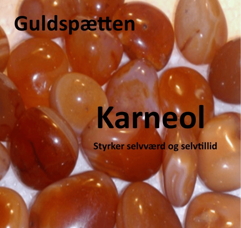Kraftstenene i Medicinhjulet billede 11