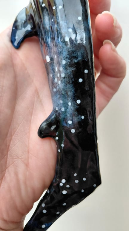 nebula hvalhaj billede 7