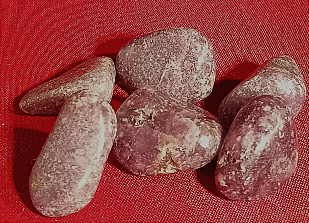29. Lepodorit