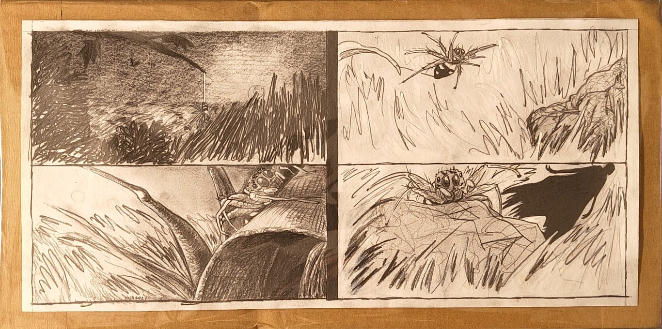 Jumping Spider original p6