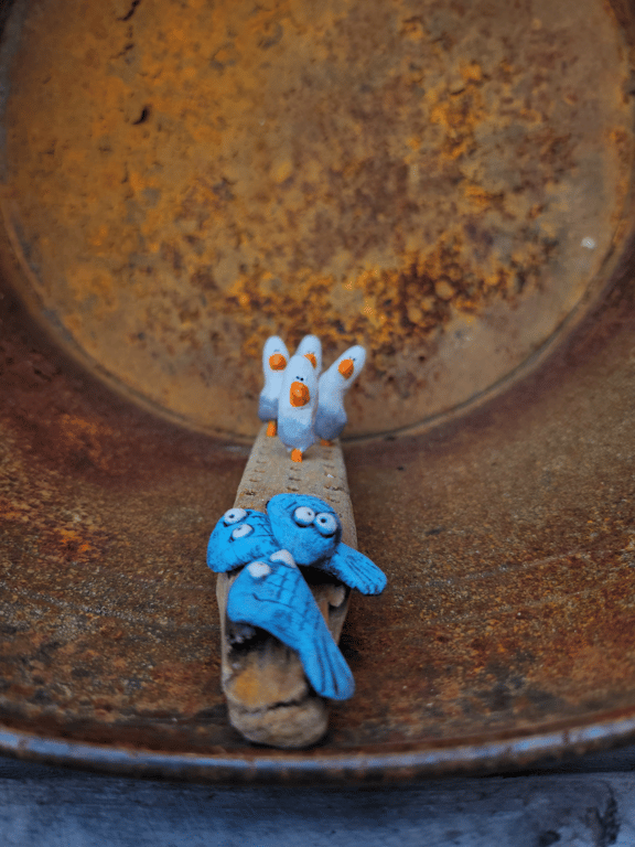 Måger på opdagelsesrejse