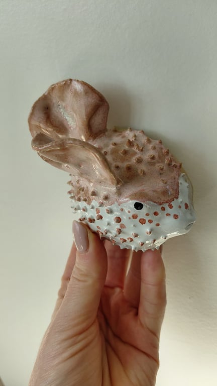 kuglefisk/Pufferfish stor billede 3