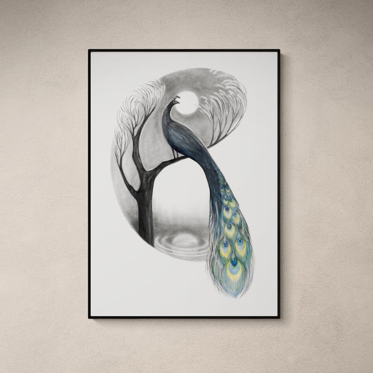 Påfuglemåne billede 5