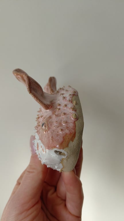 kuglefisk/Pufferfish stor billede 5