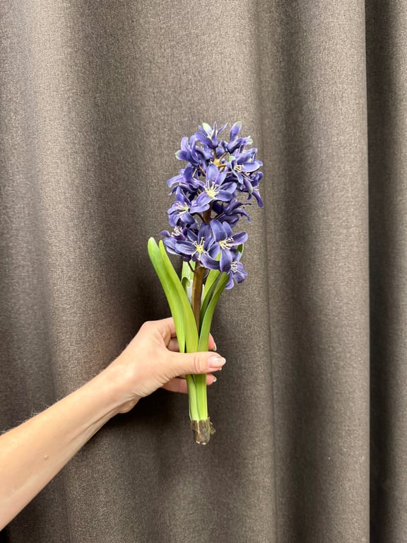 Hyacint blå