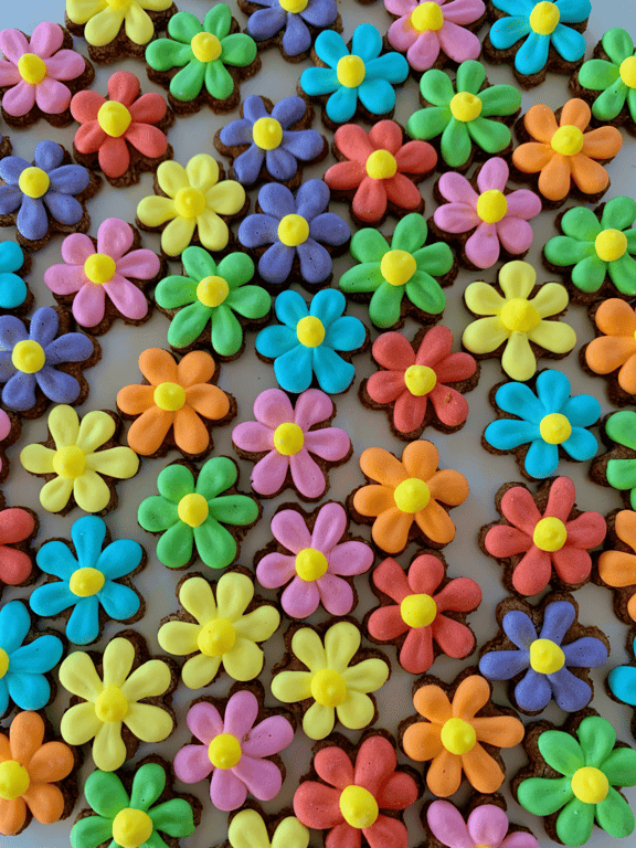 Flerfarvet blomsterpakke