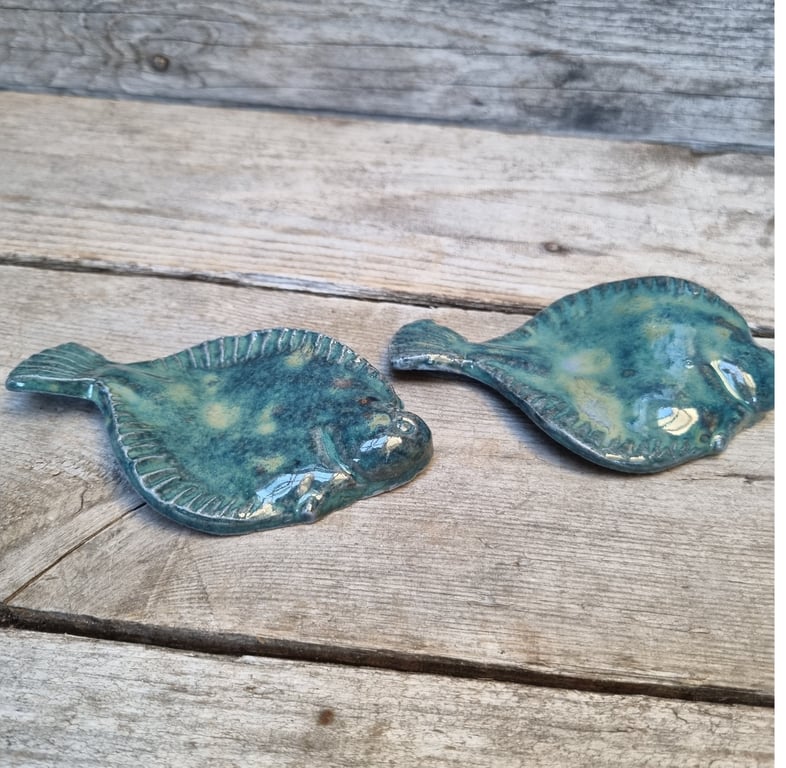 Rødspætte, blå billede 2