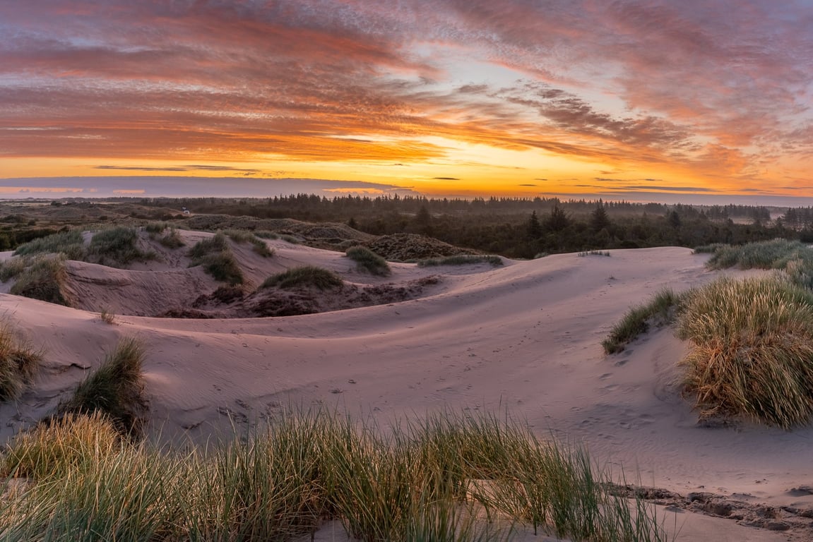Råbjerg mile i Skagen lige efter solopgang en smuk sommermorgen