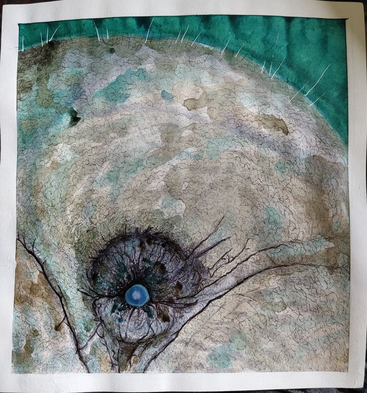 N2(25x25) - 1