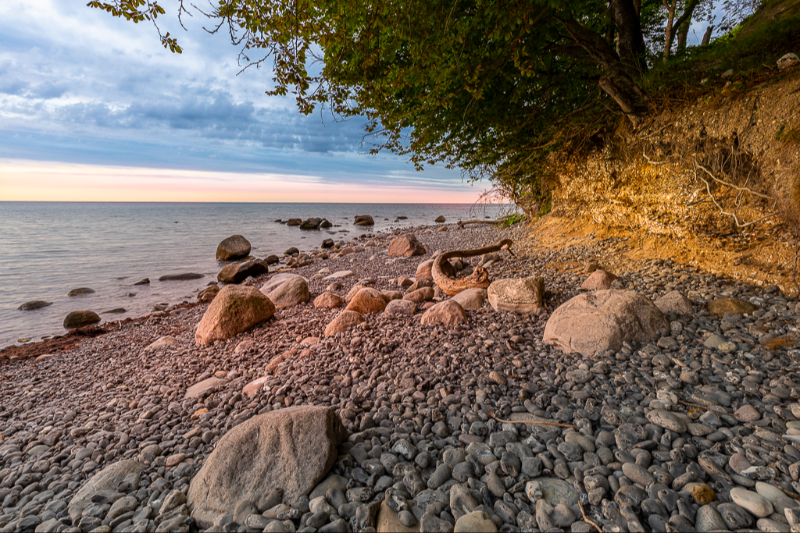 Møns klint set fra stranden i varmt morgenlys