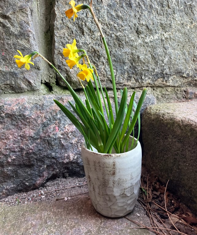 Vase/Krukke billede 4