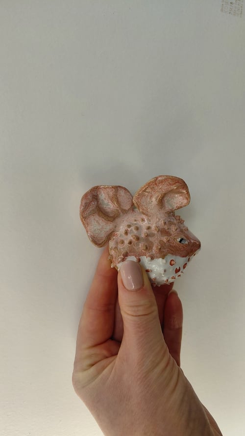 kuglefisk/pufferfish  (3)