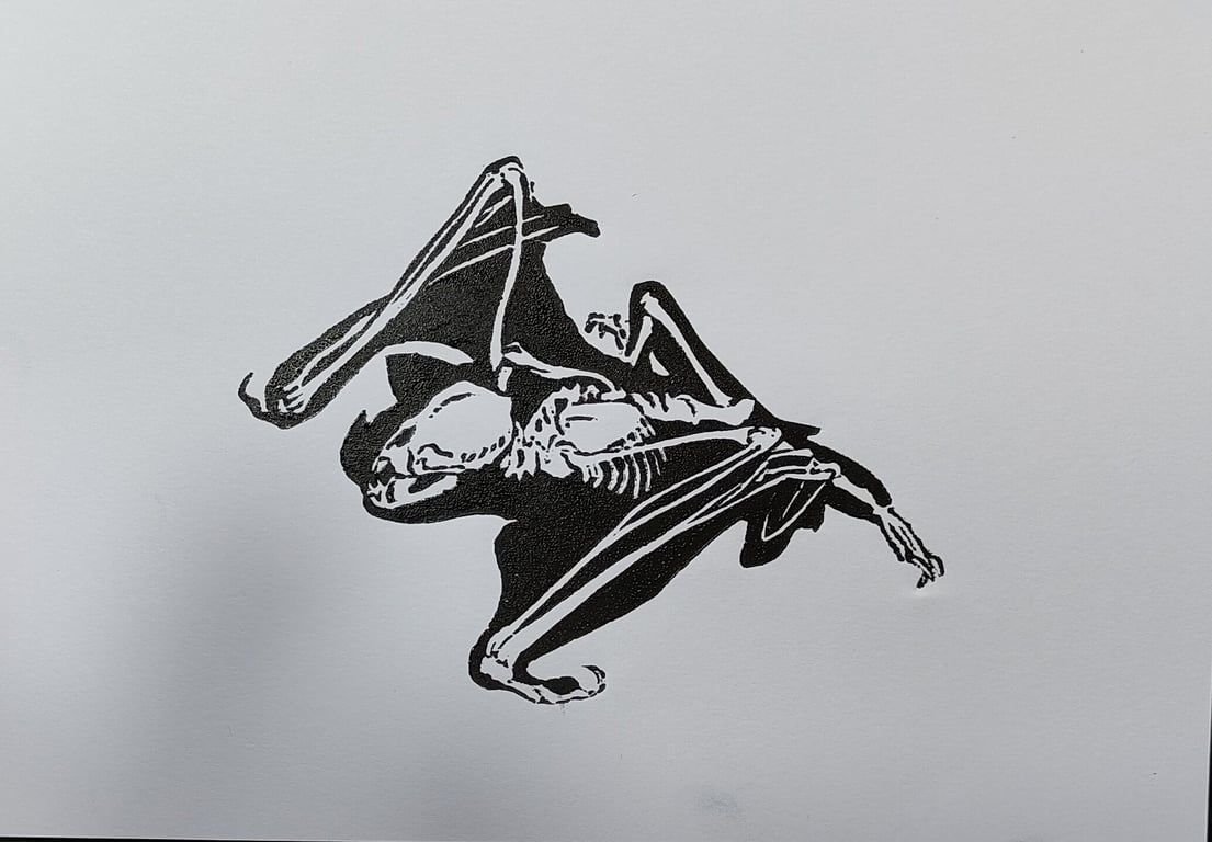 Bones billede 2