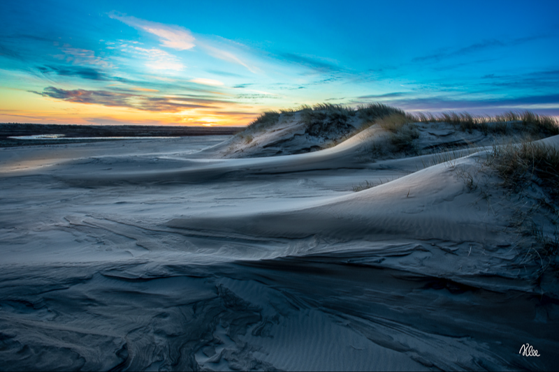 Lys og skygger på Råbjerg mile i Skagen mile lige før solnedgang