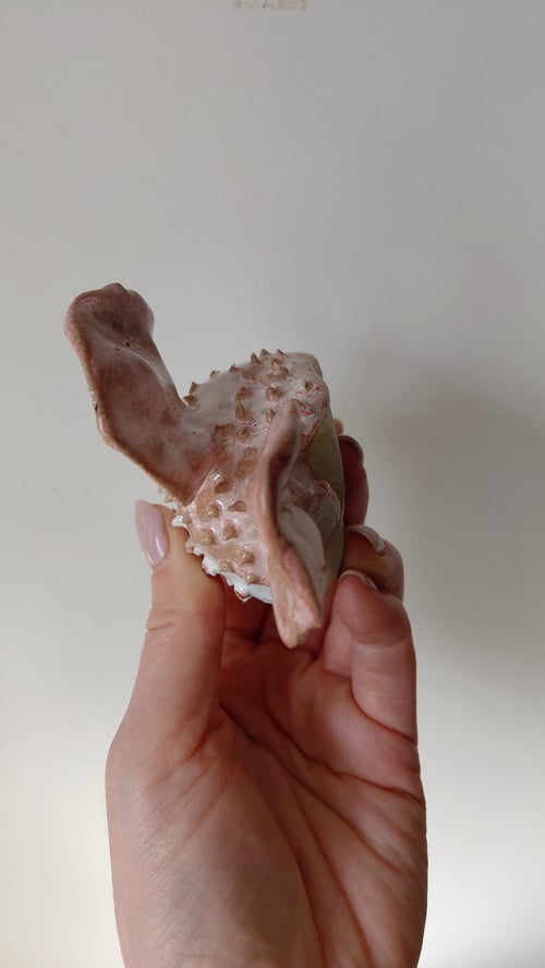 kuglefisk/Pufferfish stor (6)