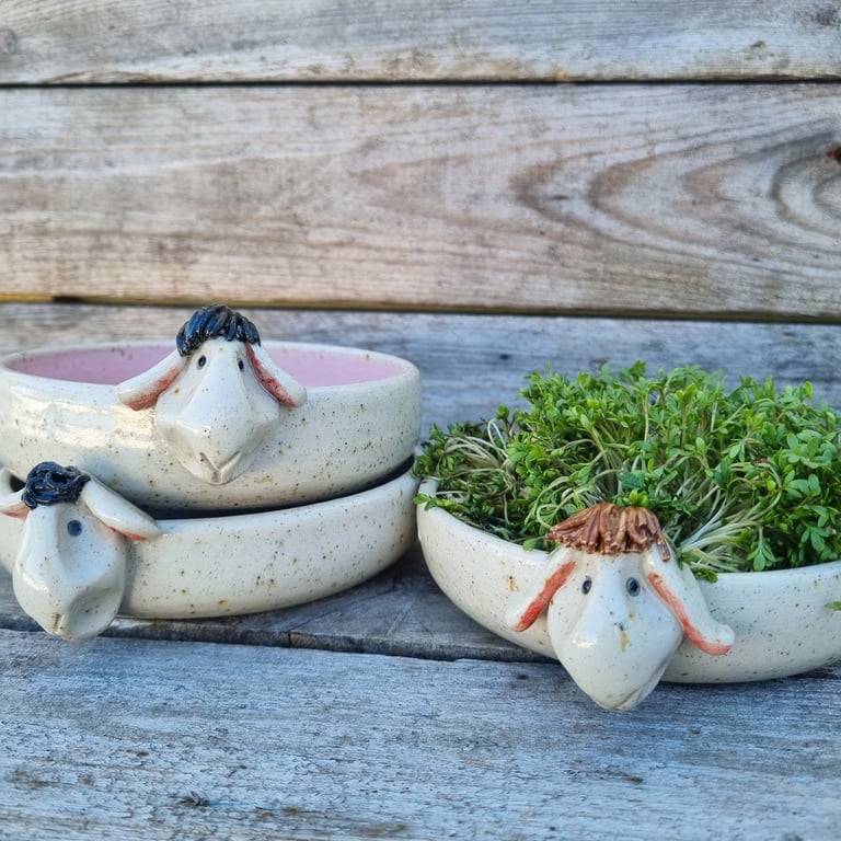 Karseskål "fårnemt" lys gul billede 7