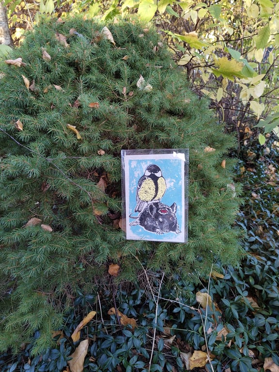 Great Tit III