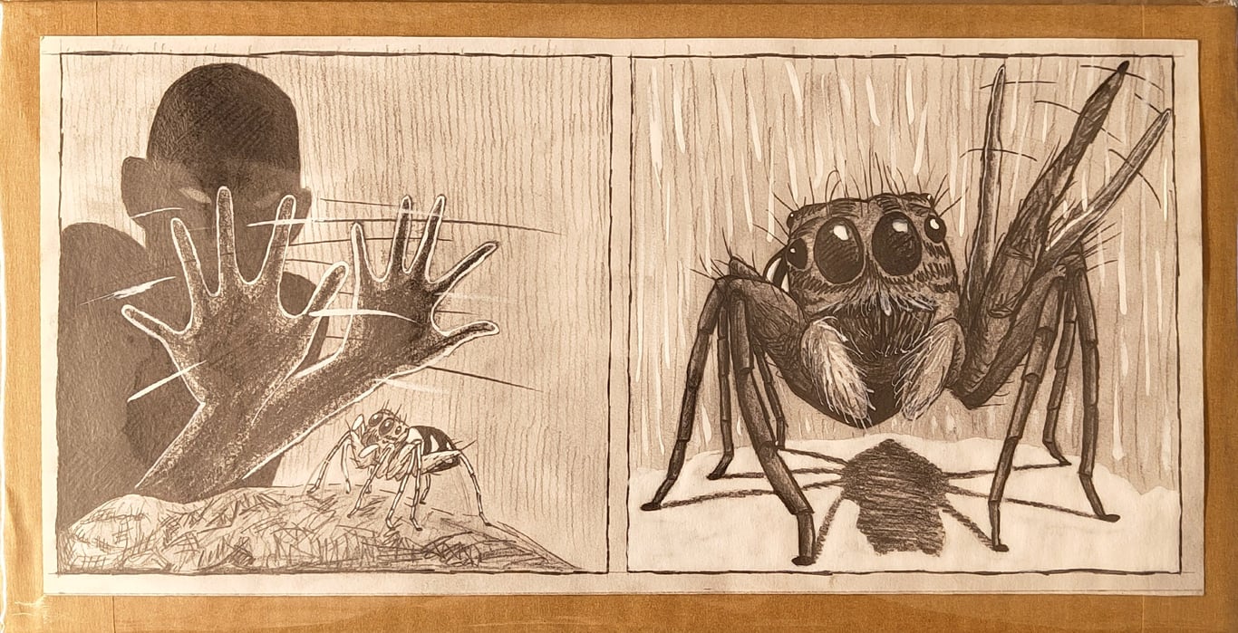 Jumping Spider original p10