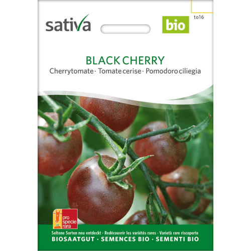 Frøpakke til økologiske Black Cherry cherrytomater fra Sativa med billede af mørkerøde cherrytomater på grøn plante. (1)