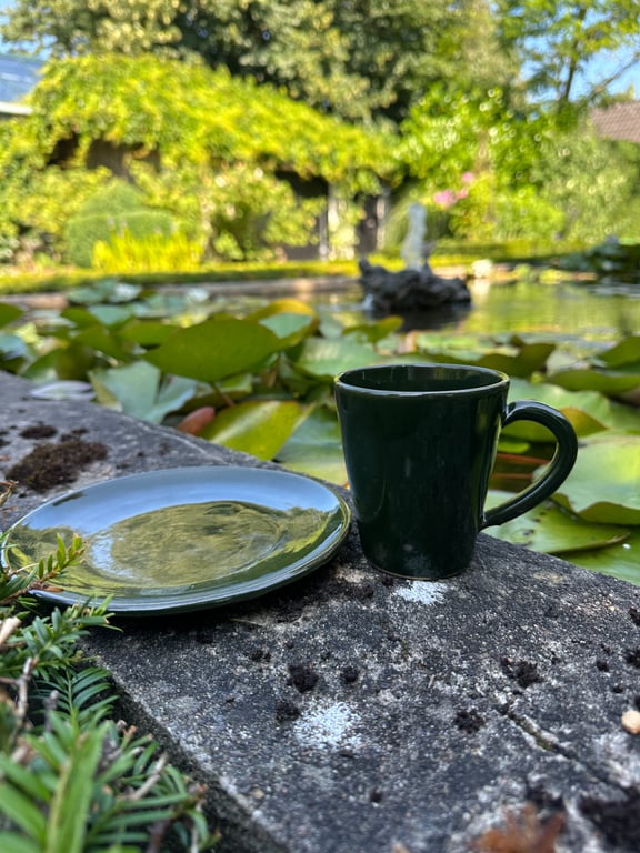 Kop og/eller tallerken