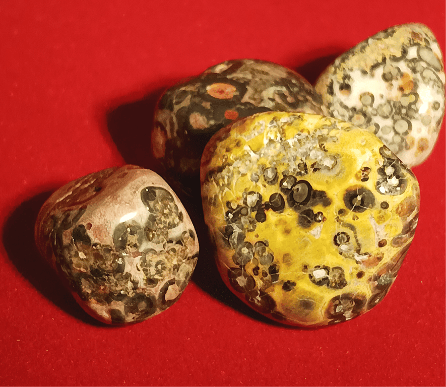 Leopard Jaspis