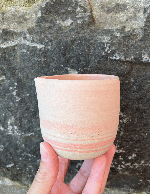 Marmoreret mælkekande, coral billede 2