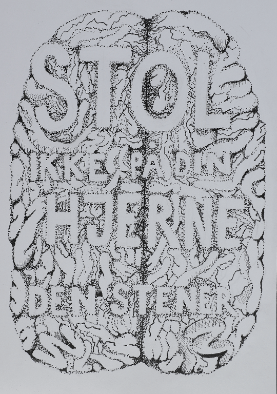 Stol ikke på din hjerne 