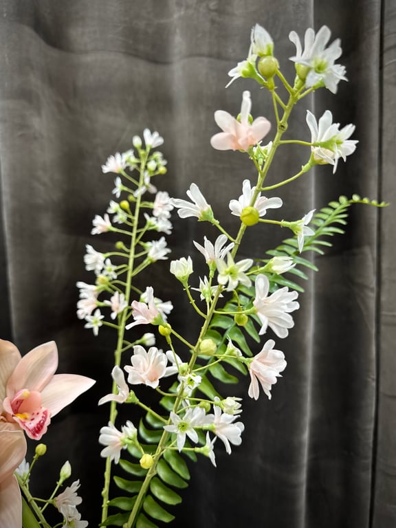 Cymbidium mix  billede 3