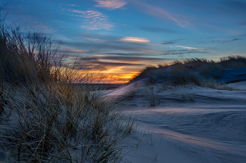 Udsigt over Råbjerg mile i Skagen lige efter solnedgang