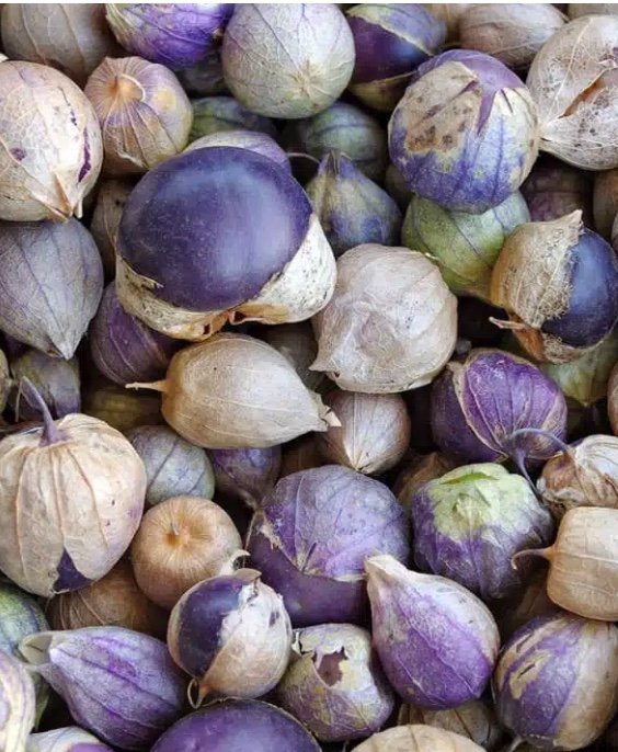 En bunke af modne physalis-frugter med lilla og beige tørre hylstre.