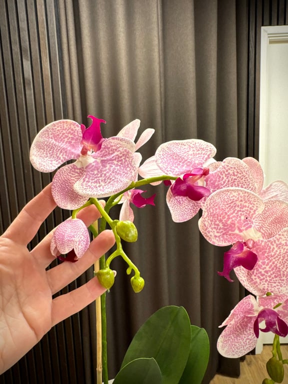 Orkidé pink stor billede 3