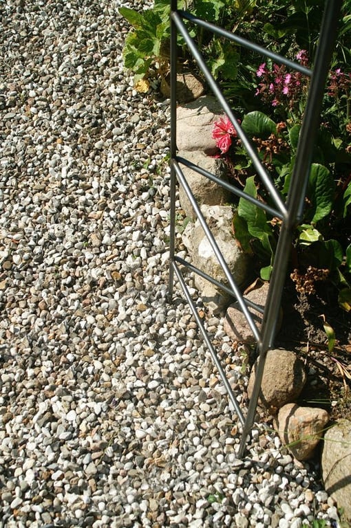 Rosenbue Brazil billede 5