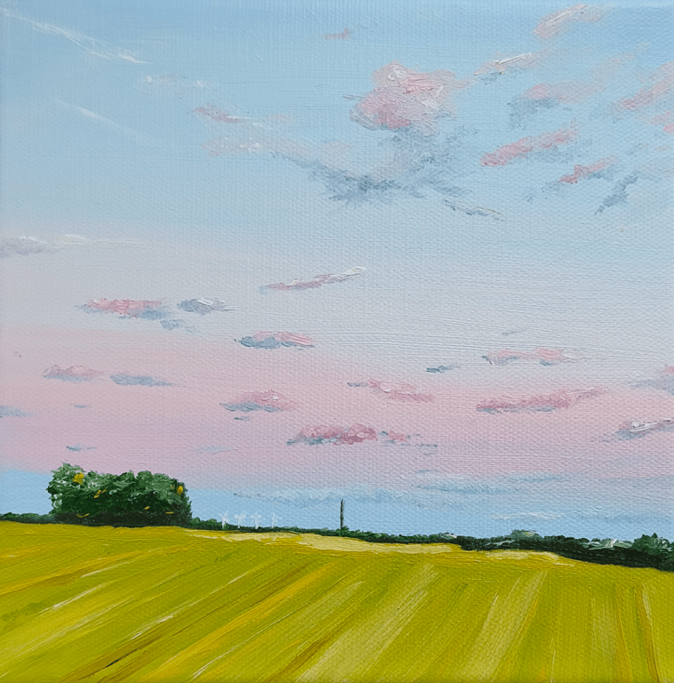 Mark og solnedgang. 20*20