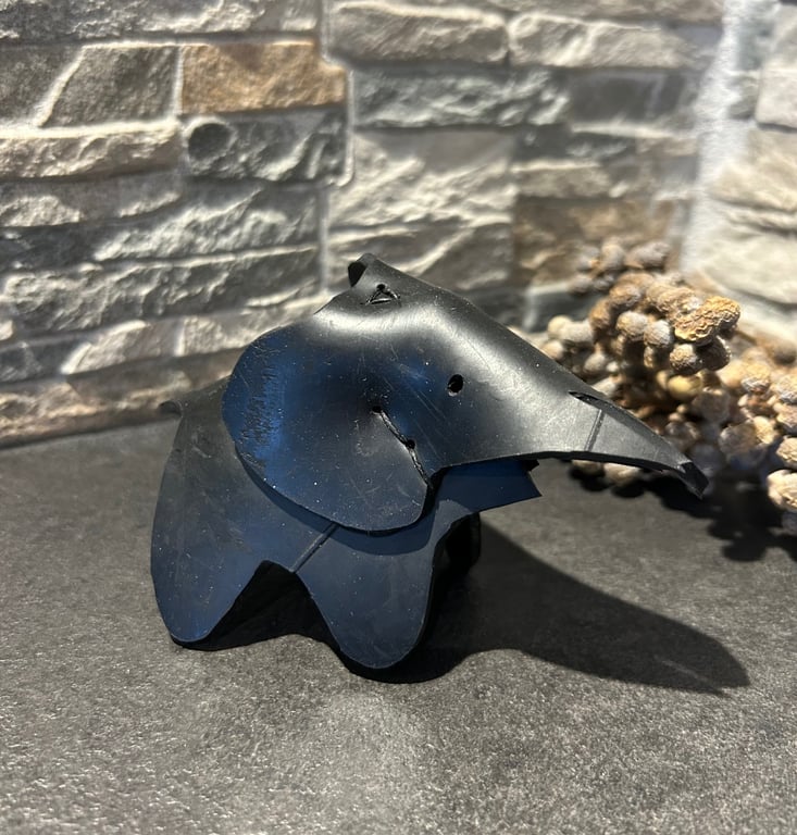 Elefant  billede 5