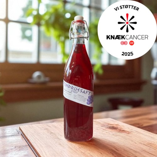Vindruesaft - Knæk cancer 2025 (4)