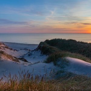 Klitter i Gammel Skagen lige før solnedgang en smuk sommeraften – produktbillede