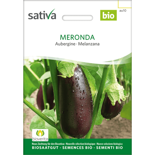 Frøpakke til økologisk aubergine sorten Meronda fra Sativa med billede af modne auberginer på planten. (1)