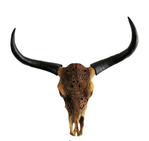 Dyrekranie - sorte horn