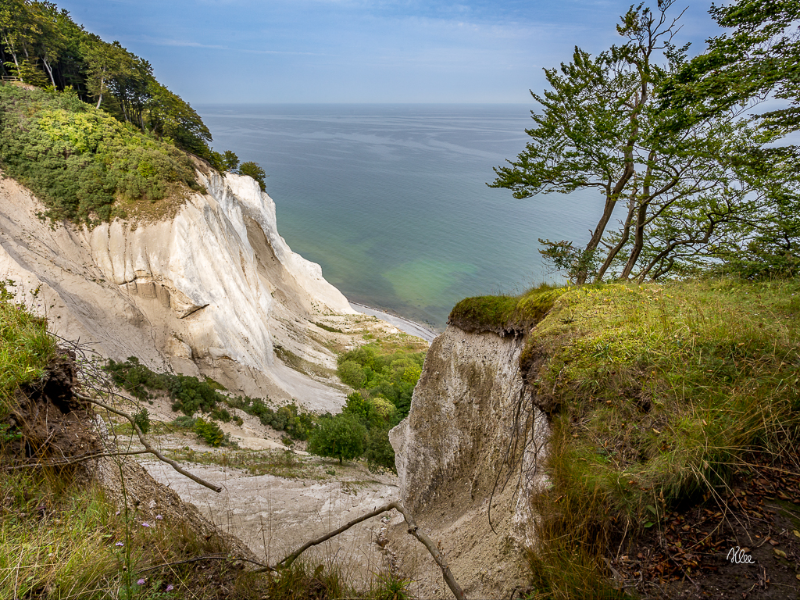 Slugt på Møns klint en smuk sommerdag