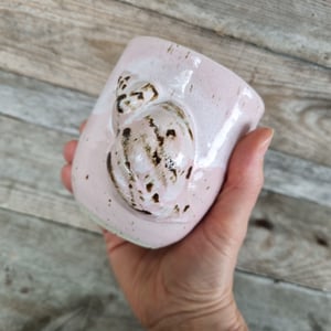 Konkylie kop – produktbillede