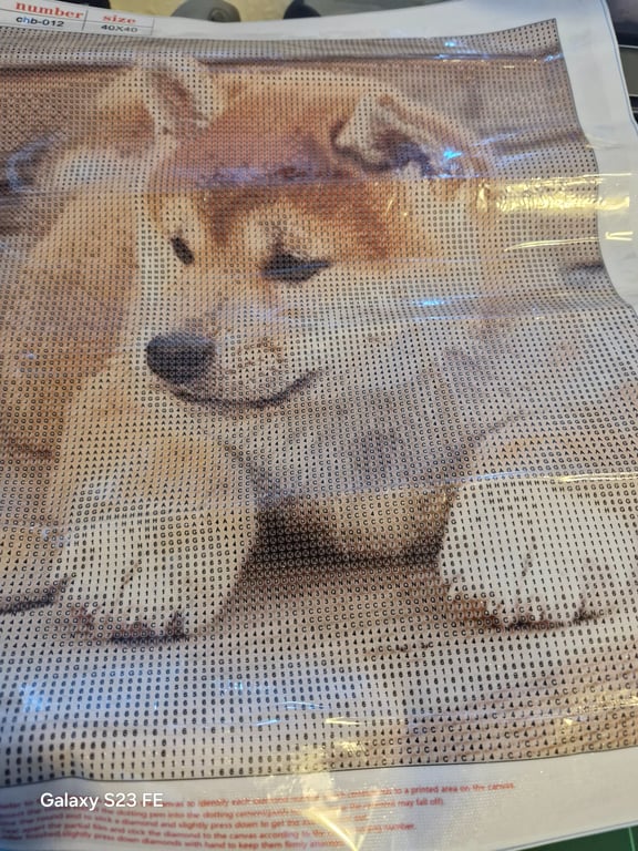 Her er der et rigtig pænt billede med en hund på og den er 4040
