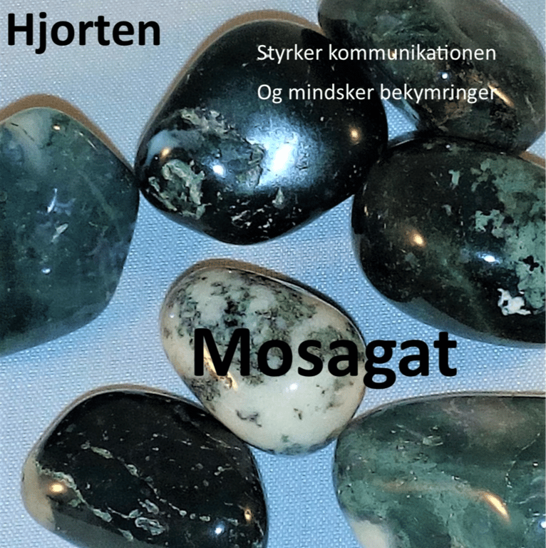 Kraftstenene i Medicinhjulet billede 15
