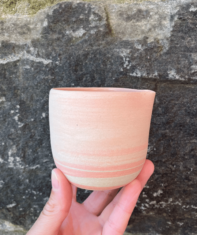 Marmoreret mælkekande, coral