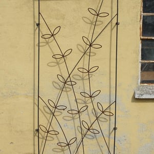Espalier væg med blade – produktbillede