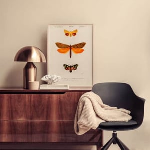 Plakat - Sommerfugle – produktbillede