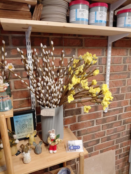 G&S Forsythia gren (4)