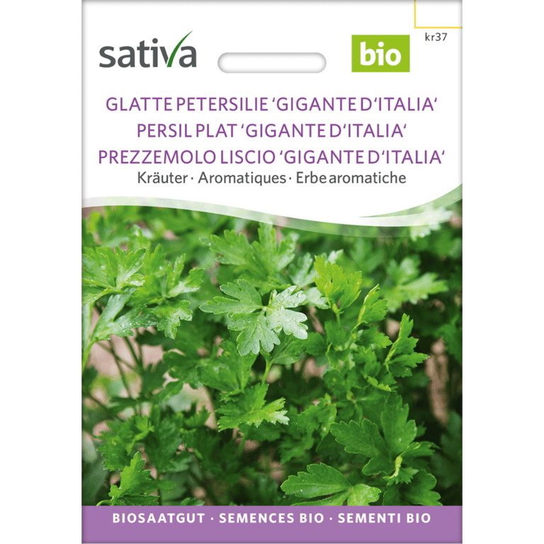Frøpakke til økologisk bredbladet persille 'Gigante d'Italia' fra Sativa med billede af grønne persilleblade.