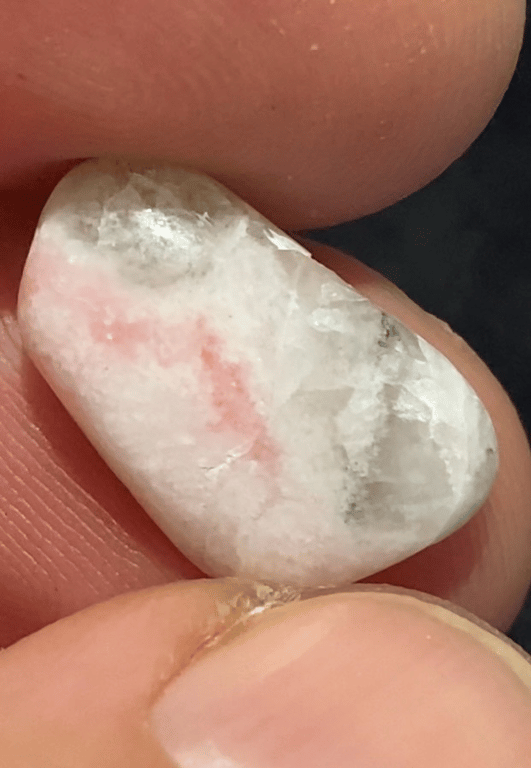 Albino billede 3